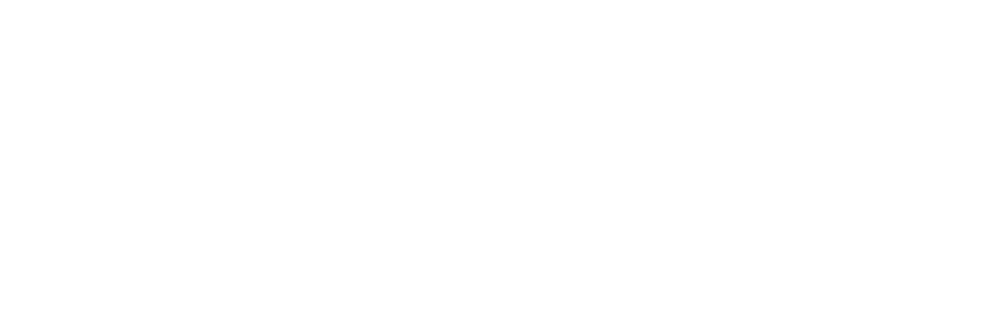 The Guardian