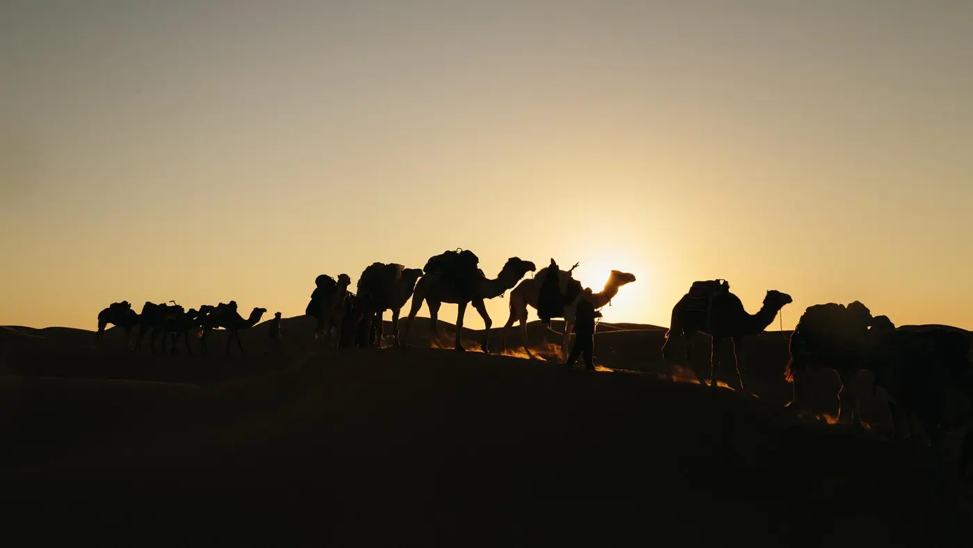 A camel train silhouetted against the sunset