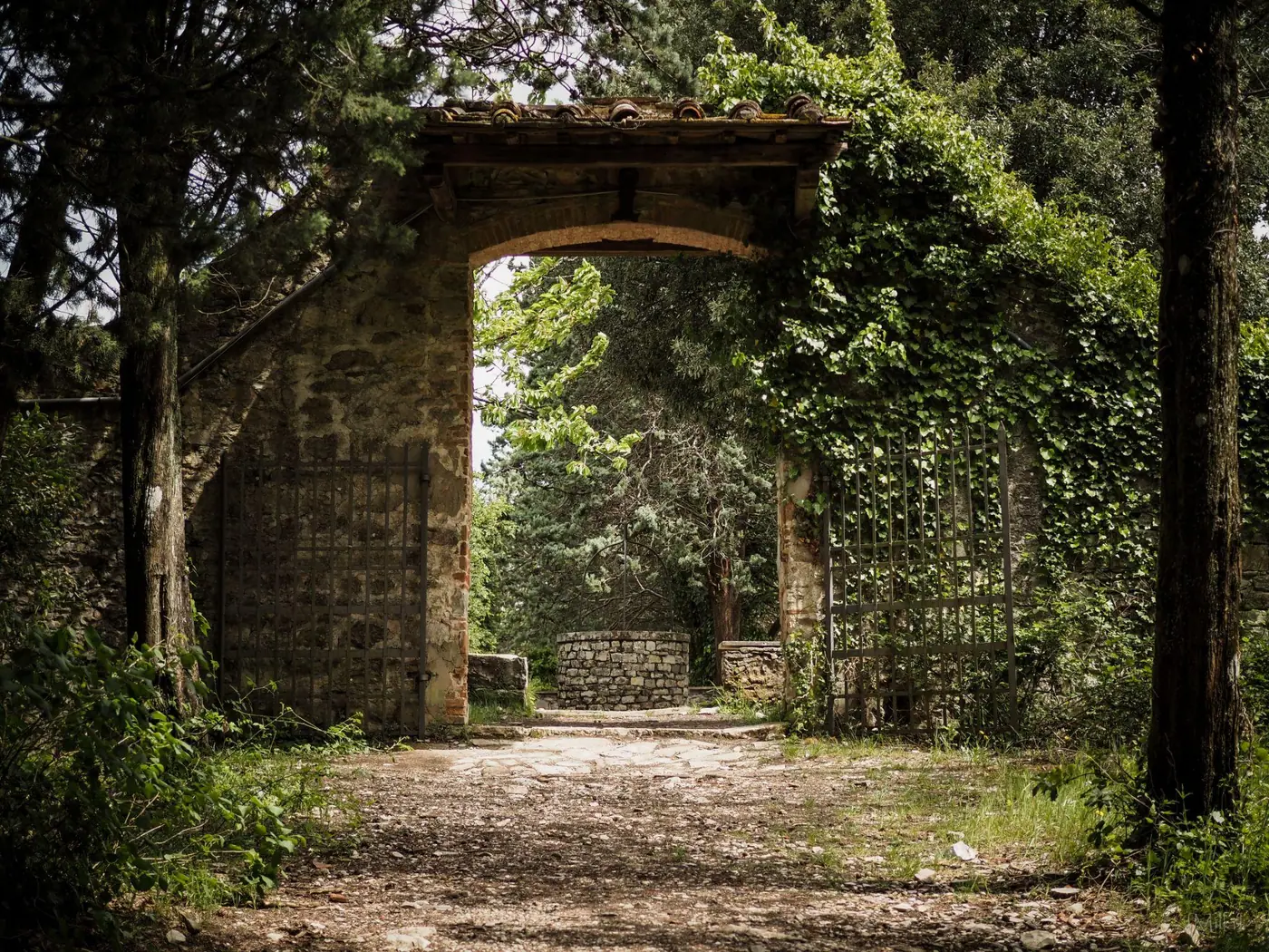 An overgrown stone gate in the woods