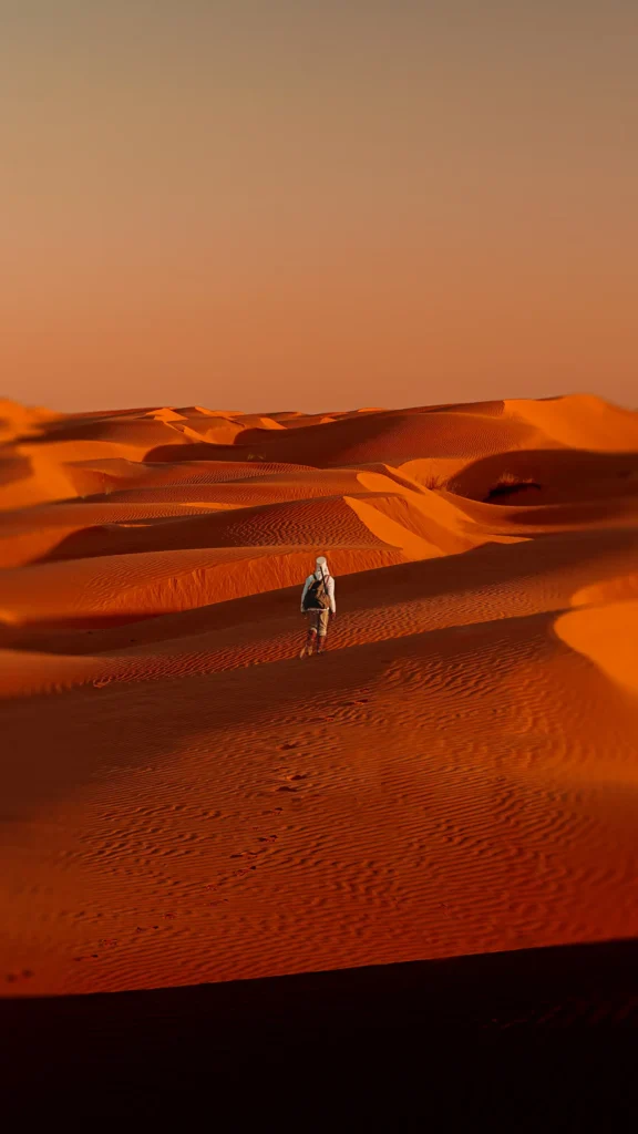 Sahara Expedition Larp