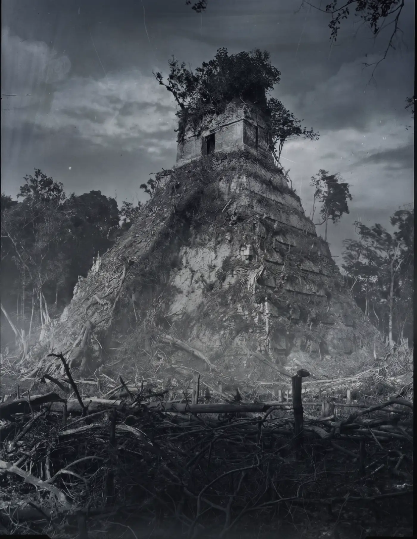 A stepped temple swallowed by the jungle, among felled trees, under a stormy sky